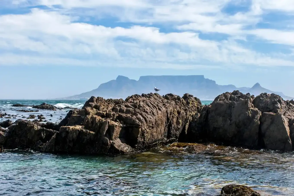 Robben Island Cape Town
