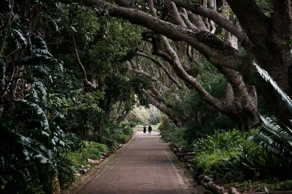 Wedding Venues in Cape Town