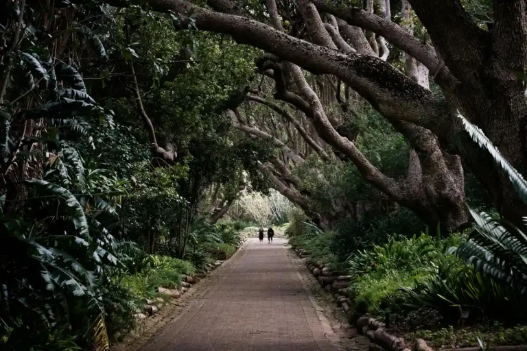 Wedding Venues in Cape Town