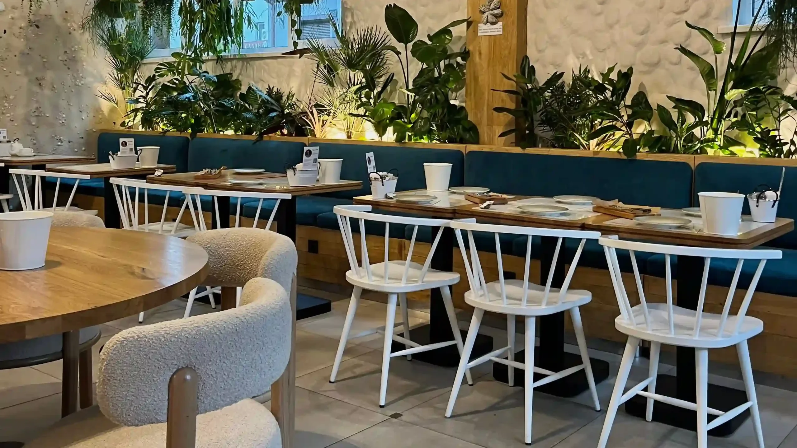 Vegetarian Restaurants