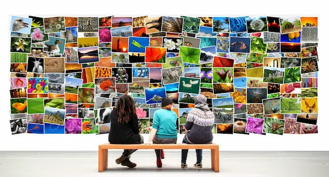A Guide to the Top Art Galleries in Cape Town