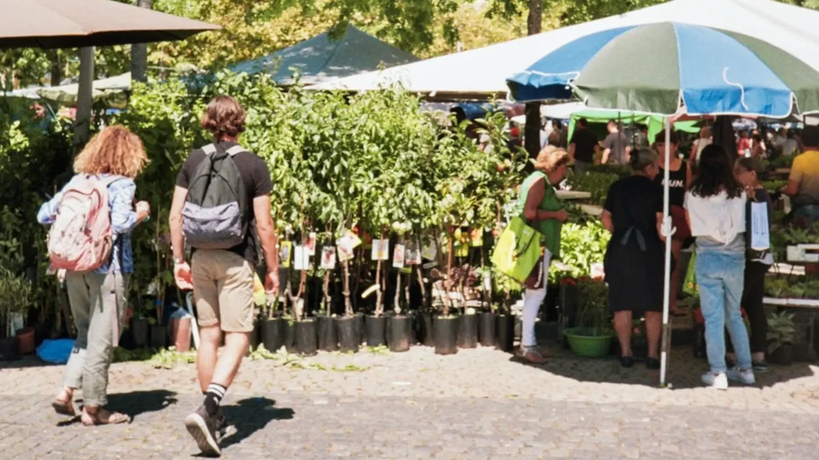 Markets in Cape Town