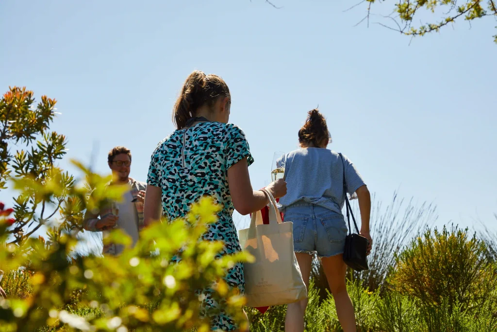 Day Trip Cape Town