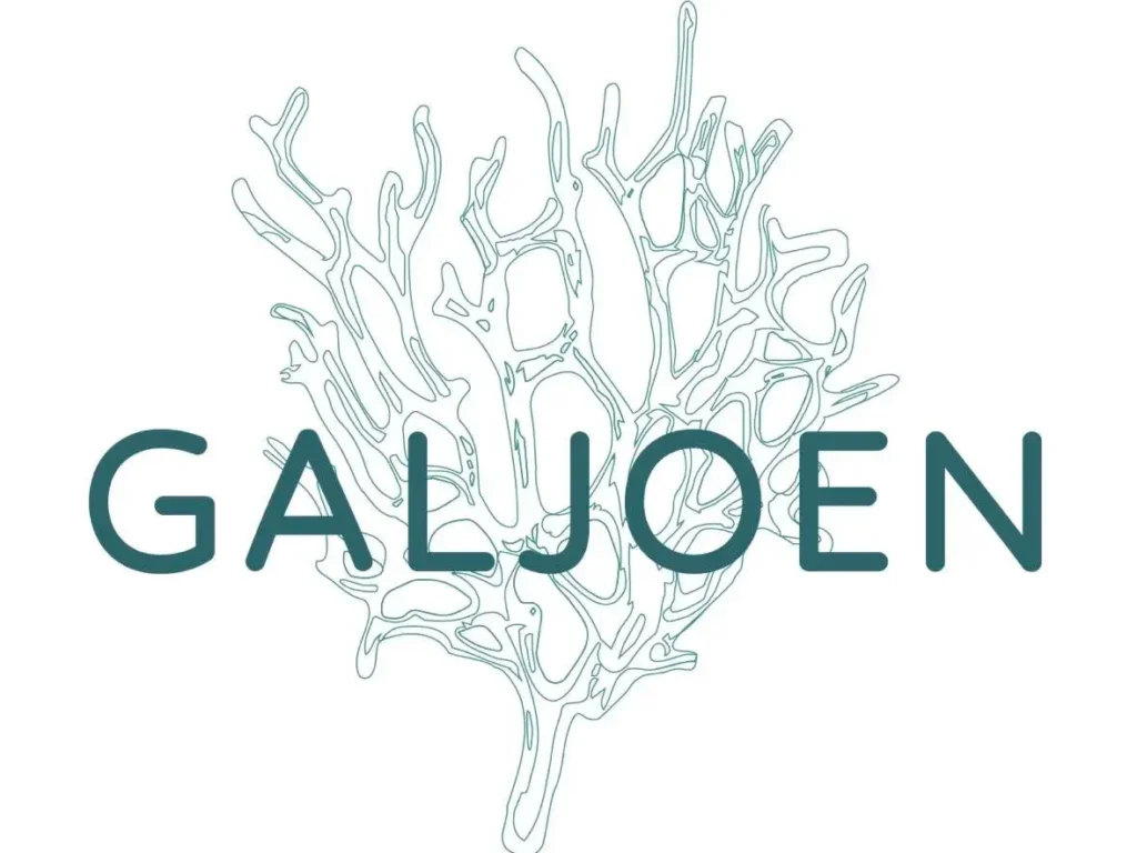 Galjoen