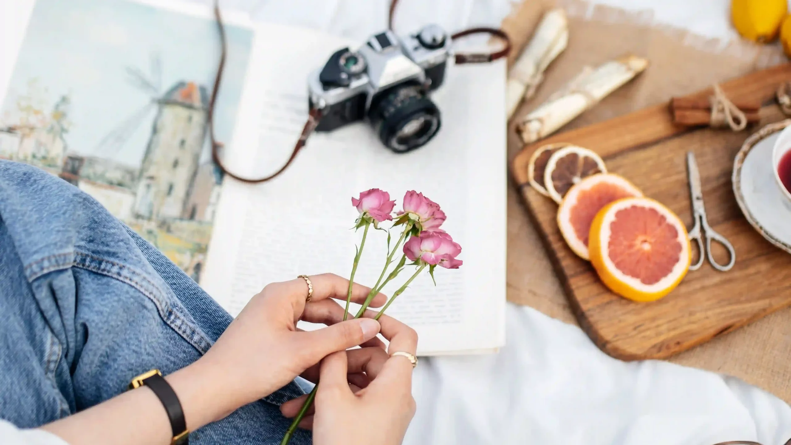 History of Cape Town's Wildflowers