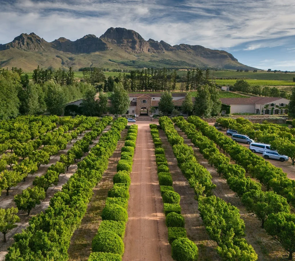 Waterford Estate Cape Town
