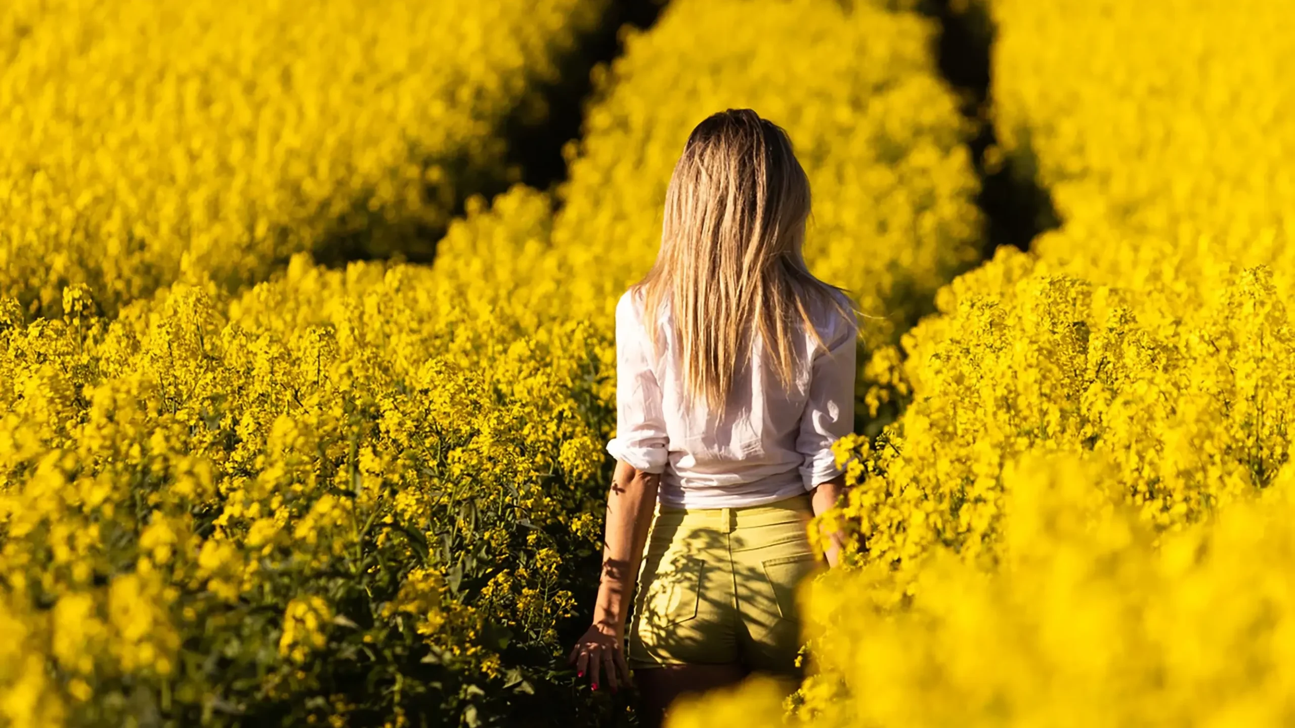 When is Flower season in Cape Town