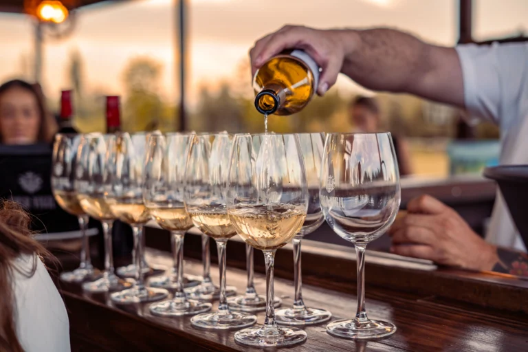 Top 10 Wine Farms in Cape Town 2026